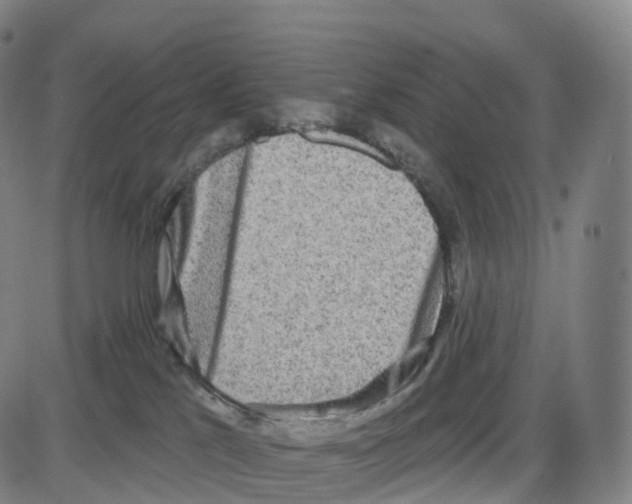 X0000083980041200703161608