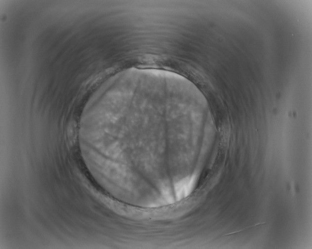 X0000083980043200703161608