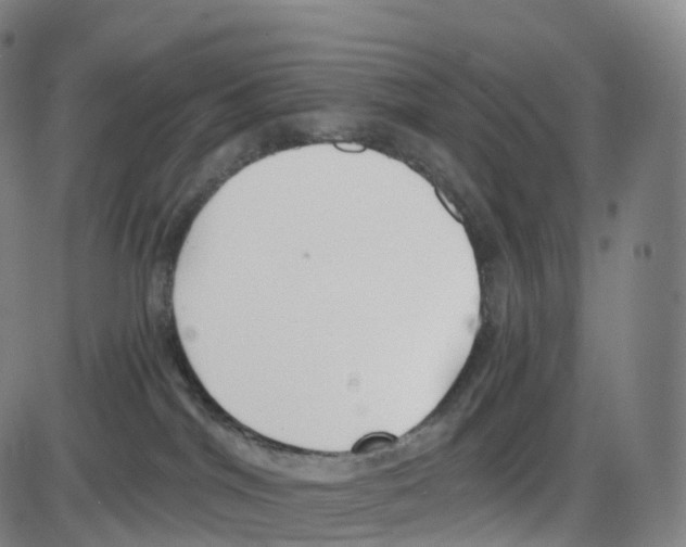 X0000083980044200703161608