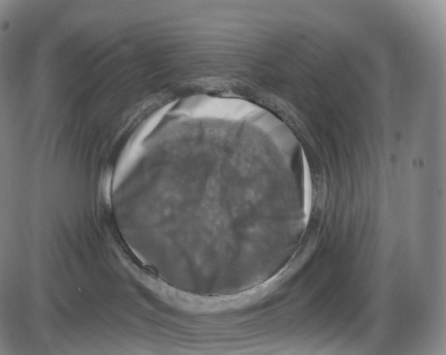 X0000083980047200703161608