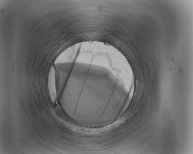 X0000083980048200703161608