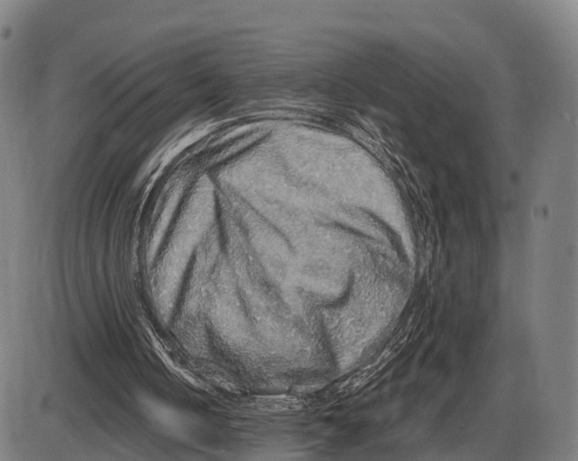 X0000083980050200703161607