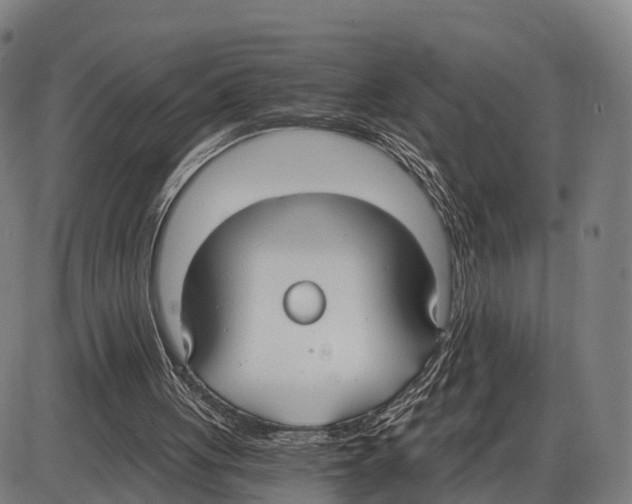 X0000083980051200703161607