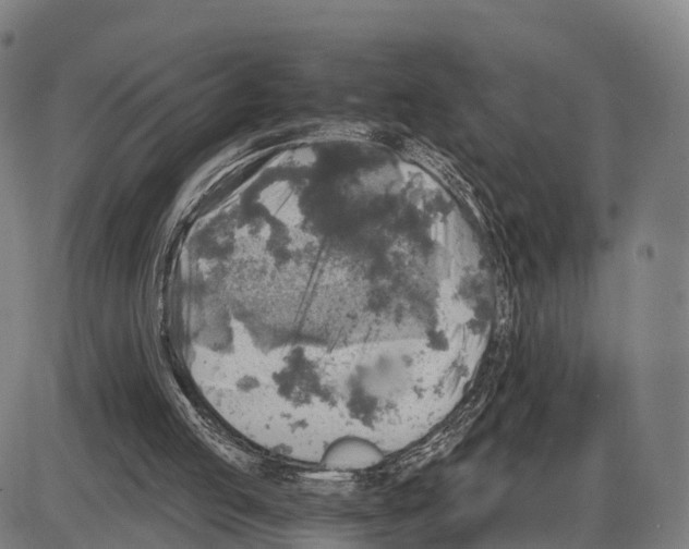 X0000083980053200703161607