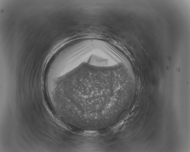 X0000083980055200703161607