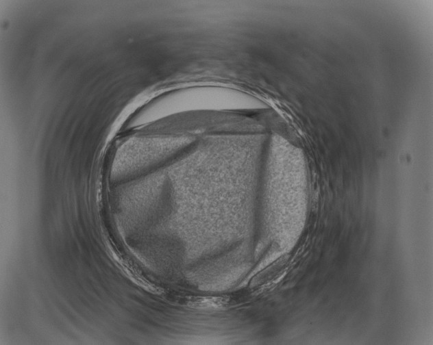 X0000083980056200703161607