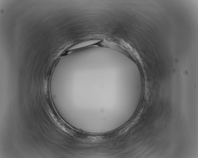 X0000083980057200703161608