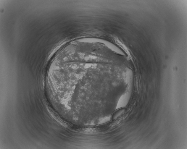 X0000083980059200703161608