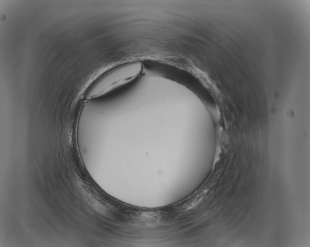 X0000083980060200703161608