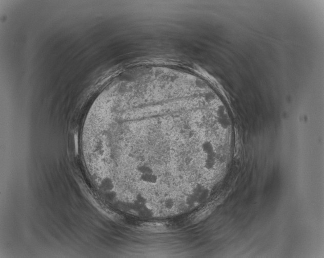 X0000083980061200703161608