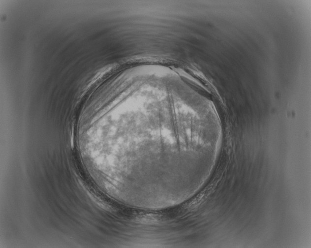 X0000083980062200703161608