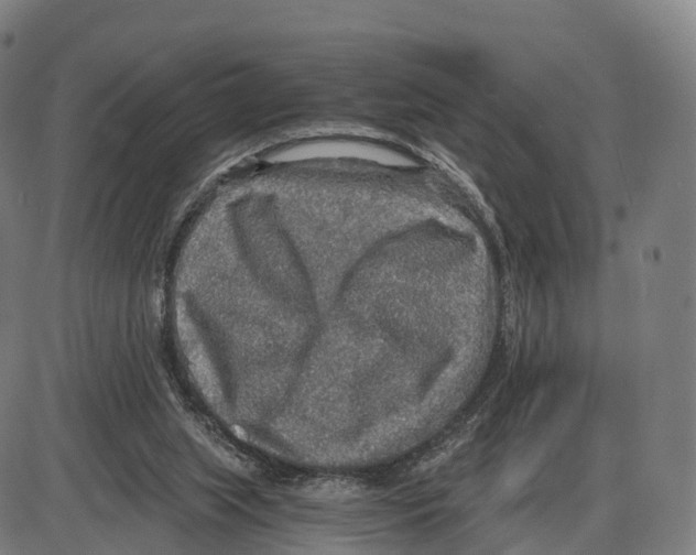 X0000083980063200703161608