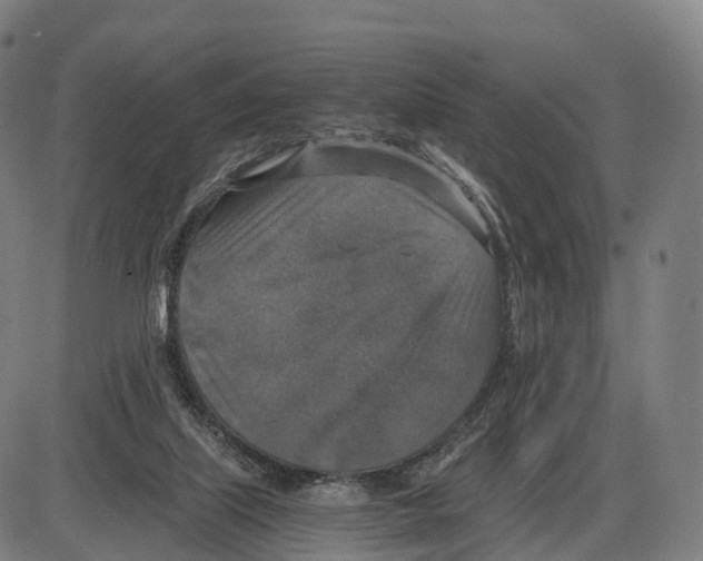 X0000083980067200703161608