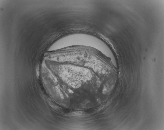 X0000083980069200703161608