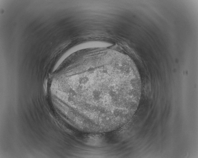 X0000083980070200703161608