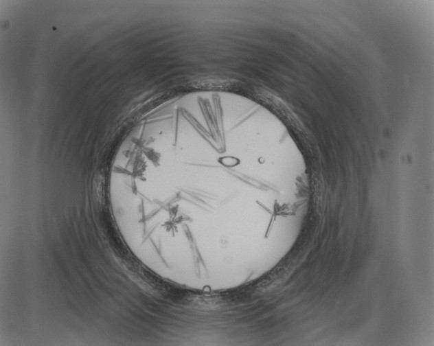 X0000083980071200703161608