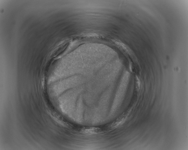 X0000083980072200703161608