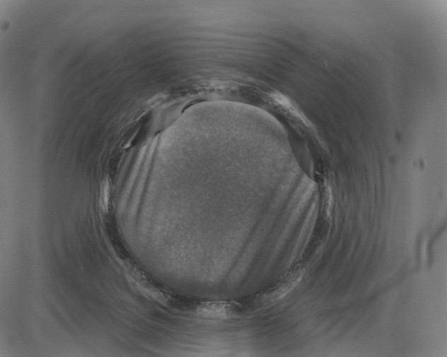 X0000083980076200703161608