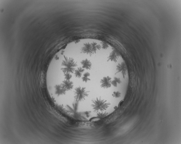 X0000083980077200703161608