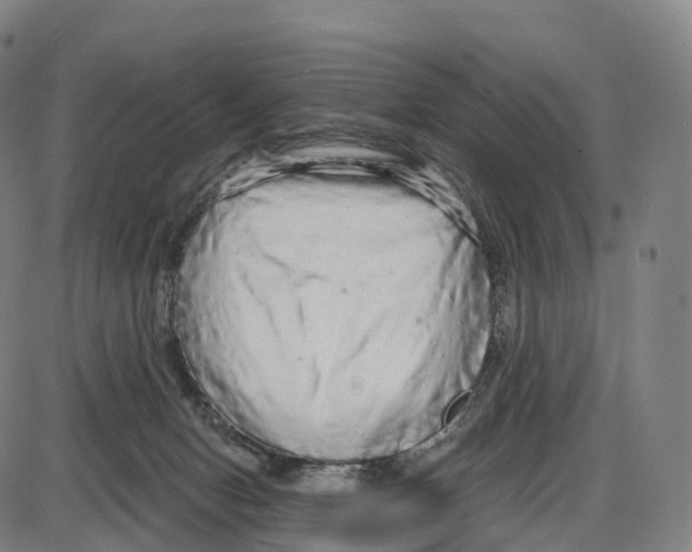 X0000083980078200703161608