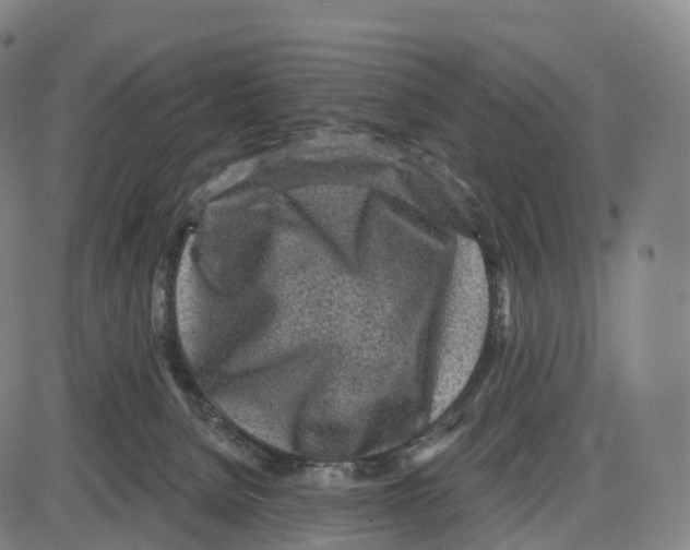 X0000083980080200703161608