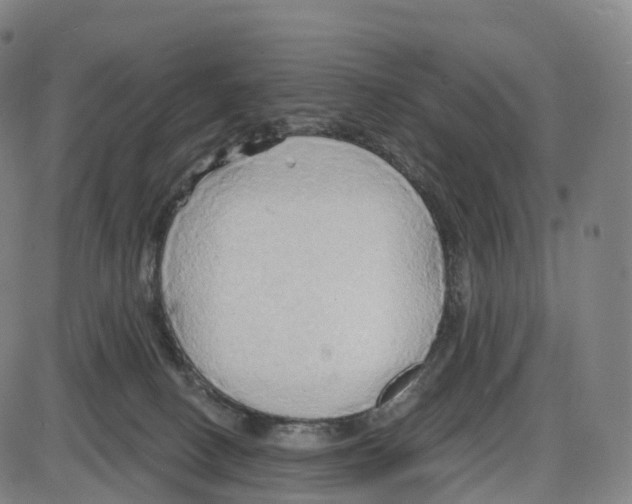 X0000083980082200703161608