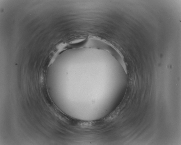 X0000083980084200703161608