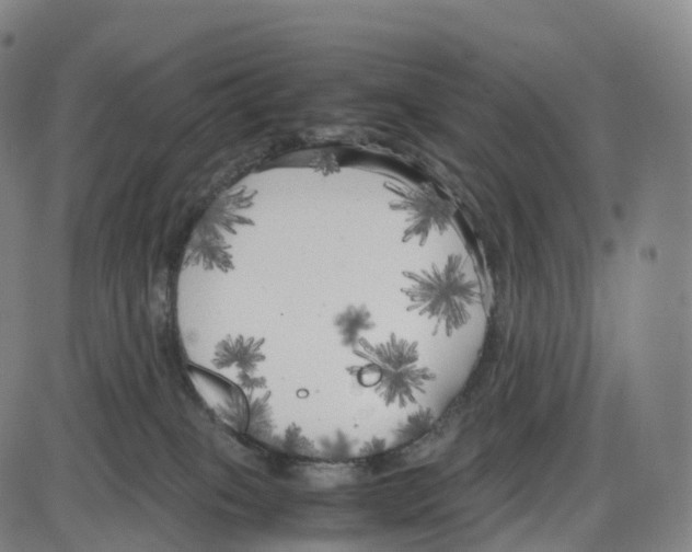 X0000083980085200703161608