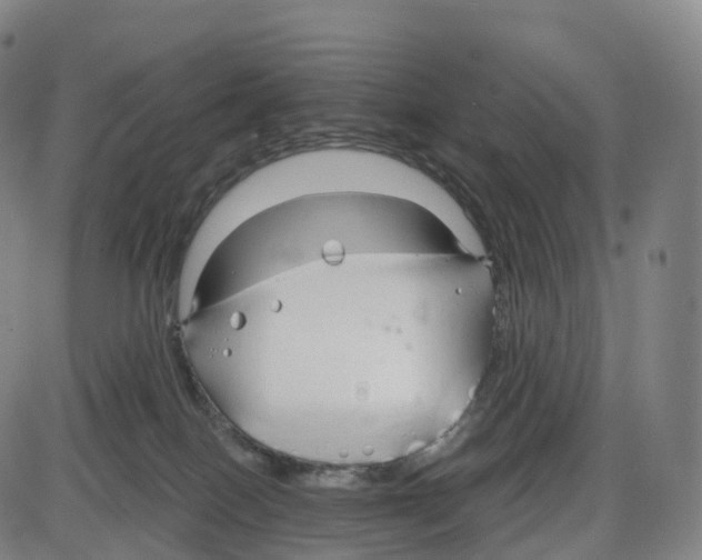 X0000083980086200703161608