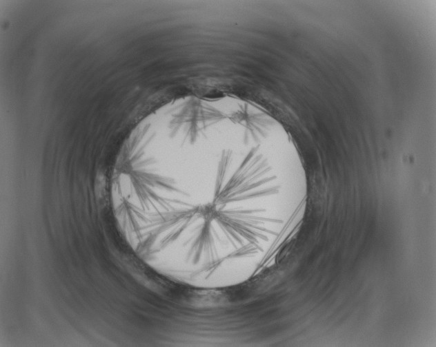 X0000083980087200703161608