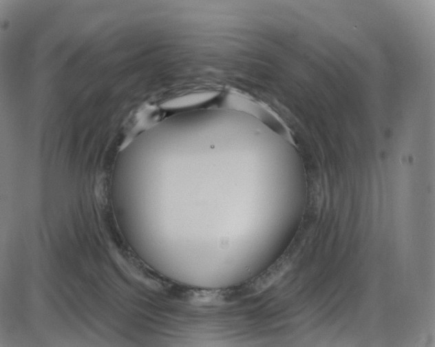 X0000083980088200703161608