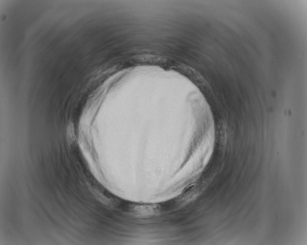 X0000083980089200703161608