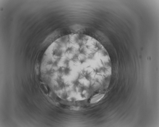 X0000083980090200703161608