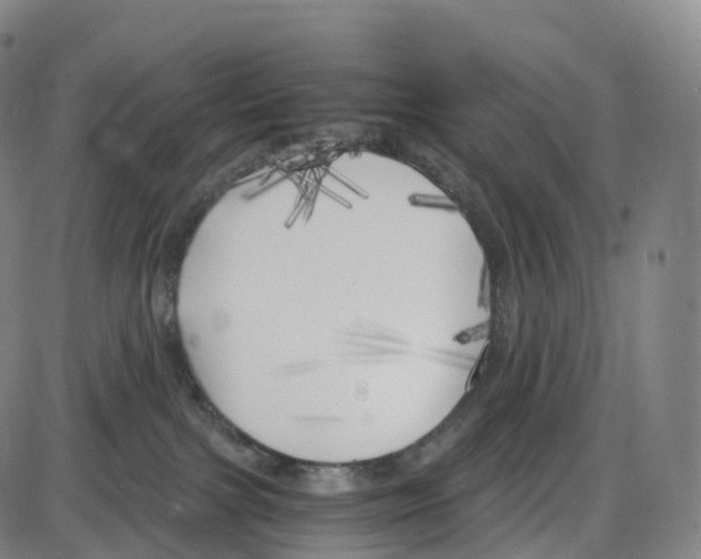 X0000083980091200703161608