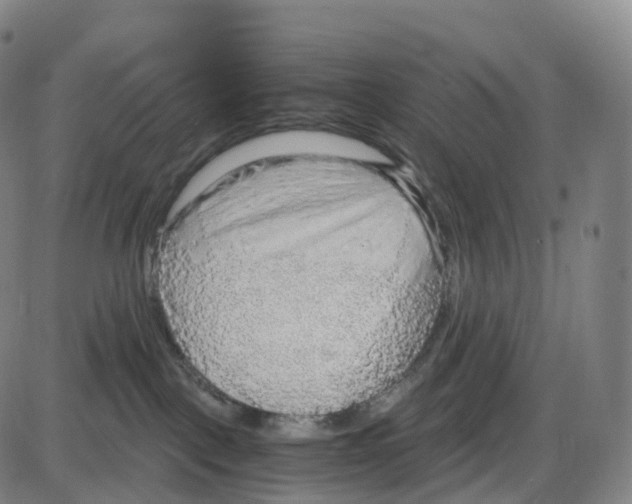 X0000083980093200703161608