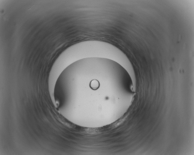 X0000083980095200703161608