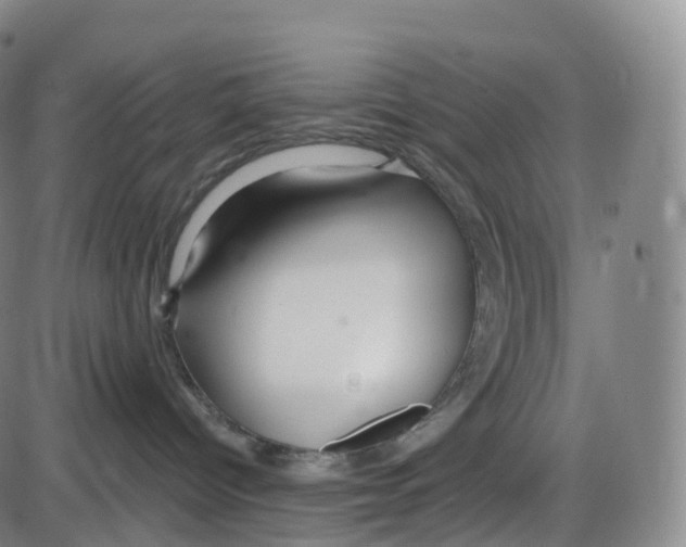 X0000083980096200703161608