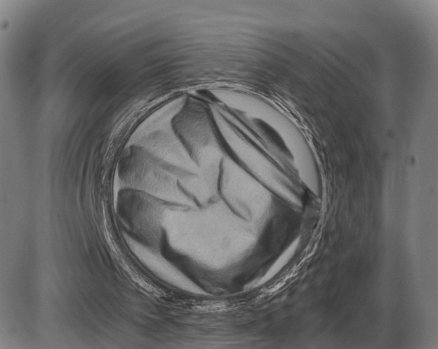 X0000083980097200703161607