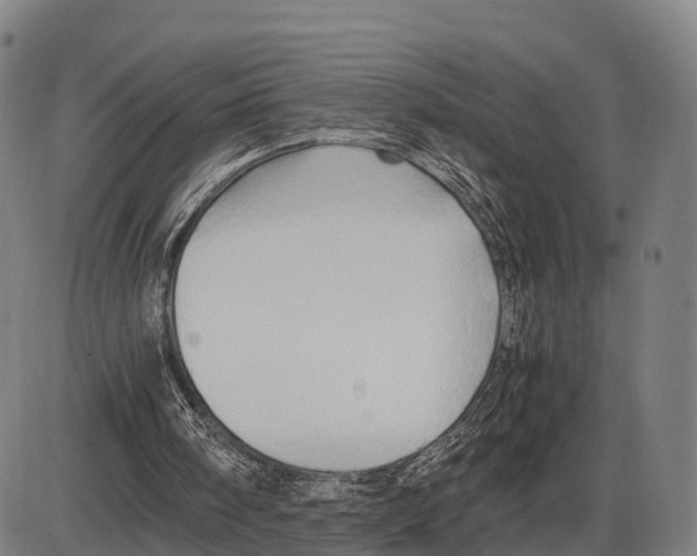 X0000083980098200703161607