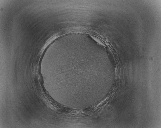 X0000083980099200703161607