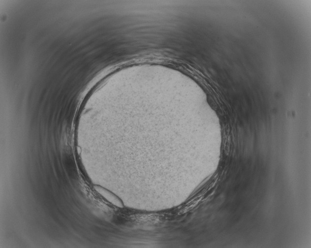 X0000083980100200703161607