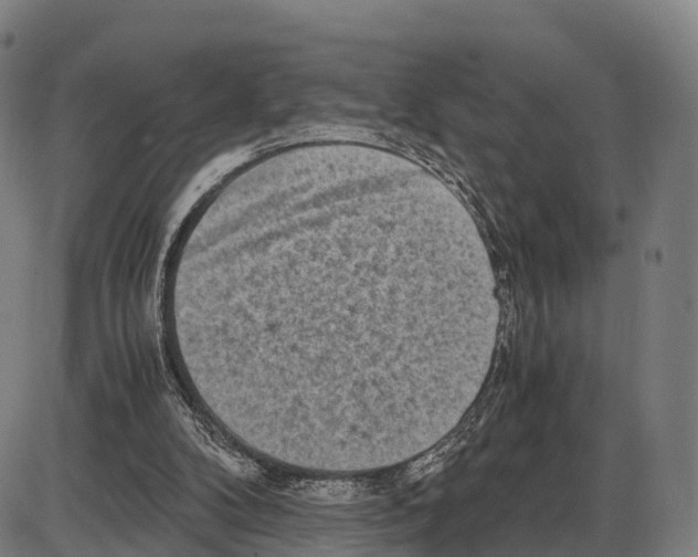 X0000083980104200703161607