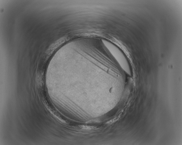 X0000083980105200703161607