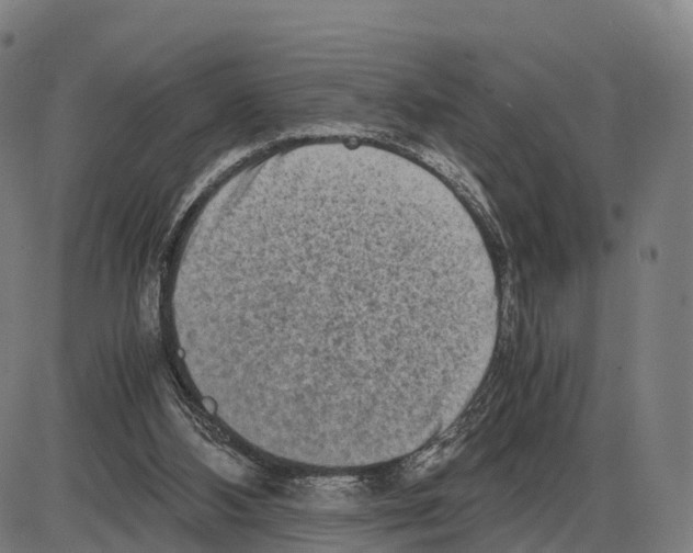 X0000083980108200703161607