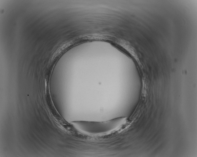 X0000083980109200703161607