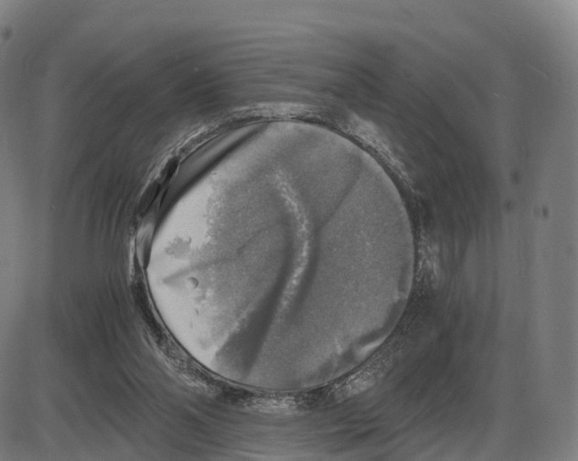 X0000083980110200703161607