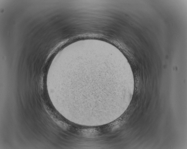 X0000083980112200703161607