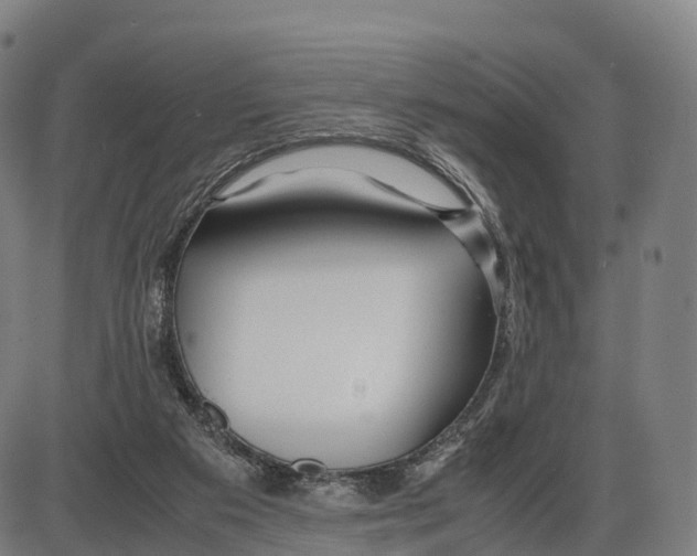 X0000083980113200703161607