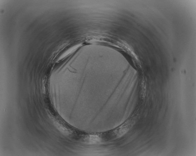 X0000083980114200703161607