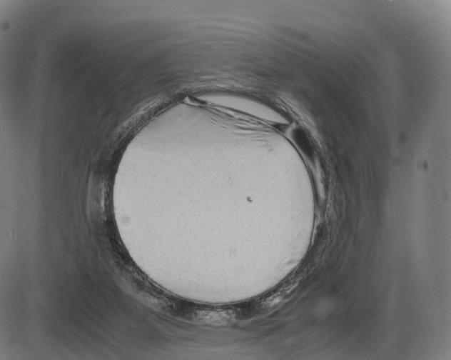 X0000083980115200703161607